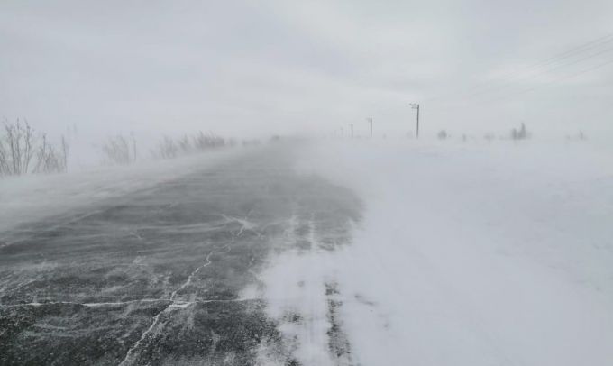 В понедельник на большей части Ямала потеплеет, местами ожидается порывистый ветер