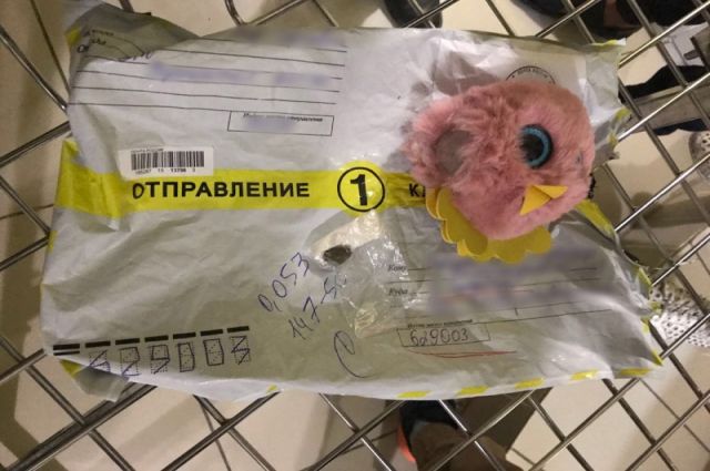 Жителю Ямала прислали по почте птичку, начиненную наркотиками