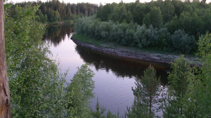 В ямальском заповеднике полыхает лес на площади 40 гектаров