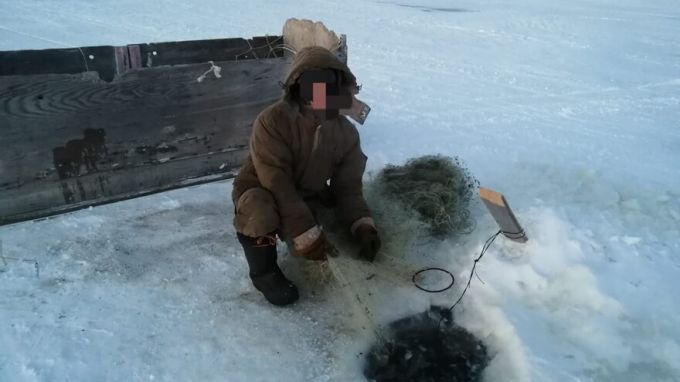 Поймали с поличным: ямалец незаконно добыл 16 хвостов ценной рыбы
