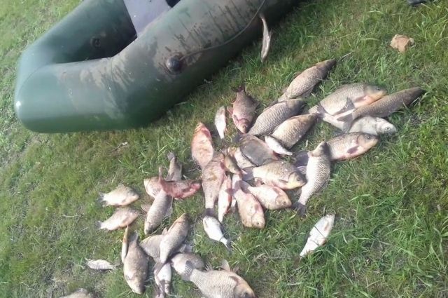 На Ямале браконьер наловил щекура почти на 200 тысяч рублей штрафа
