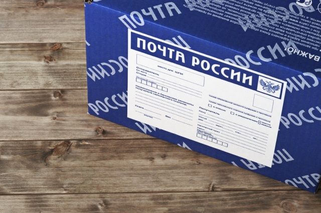 Салехардцы с помощью Сети купили «кота в мешке»