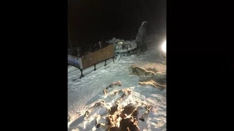 Браконьерство в заказнике: в Надымском районе задержаны охотники на дикого северного оленя