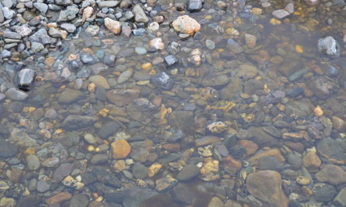 Из-за жары поднялась вода у Харпа и Овгорта