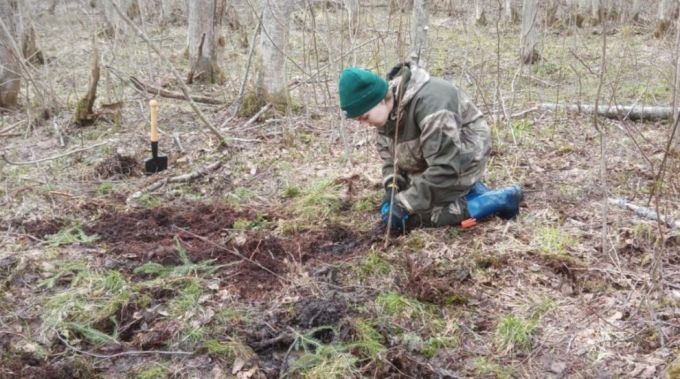 Студентка-поисковик из Губкинского нашла останки красногвардейца
