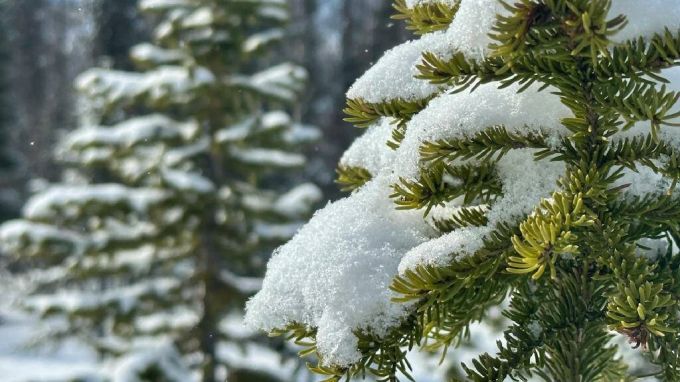 На Ямале плюсовые температуры воздуха прогнозируются со второй половины апреля