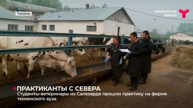 Ямальские студенты прошли практику в тюменском университете