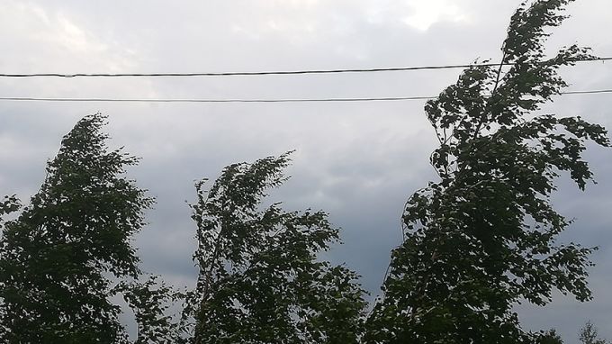 14 июля на Ямале ожидается пасмурная погода и северо-западный ветер