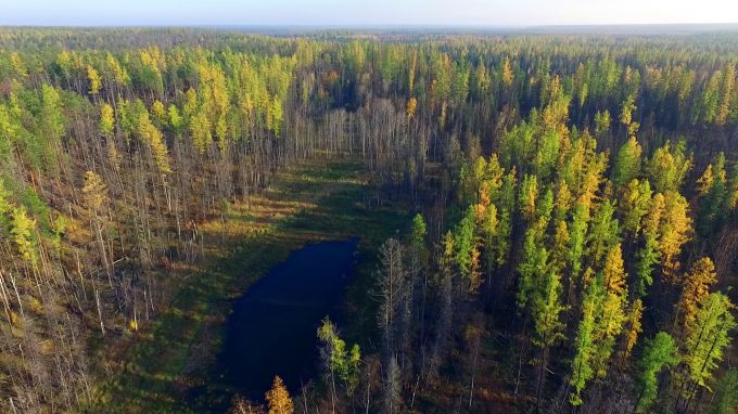 Директора заповедника «Верхне-Тазовский» наказали за семейный подряд
