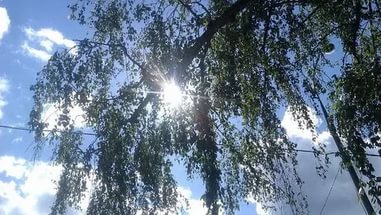 Погода на Ямале 3 июля: днём до +17
