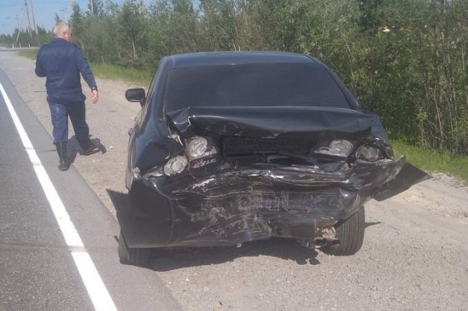 В ЯНАО из-за утят произошло ДТП.