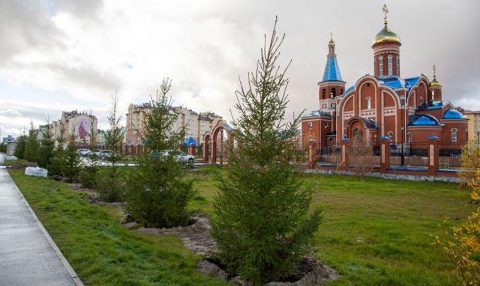 В Год экологии в Новом Уренгое высадили крупные ели