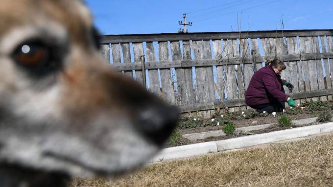 Потянуло к земле: что ждет россиян в новом дачном сезоне
