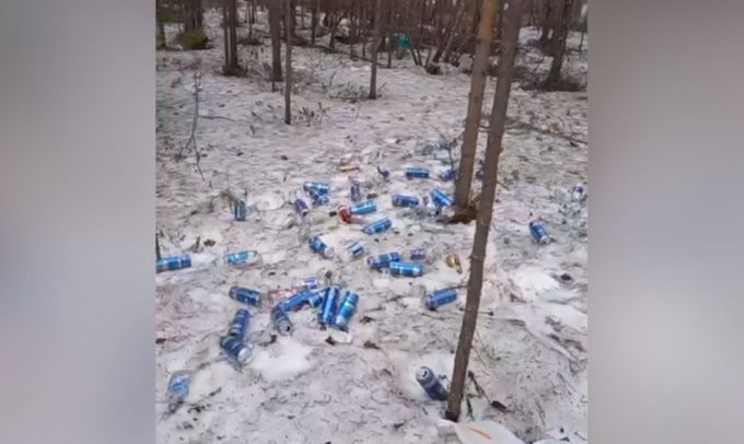 Соцсети Ноябрьска: лес около города превратился в свалку
