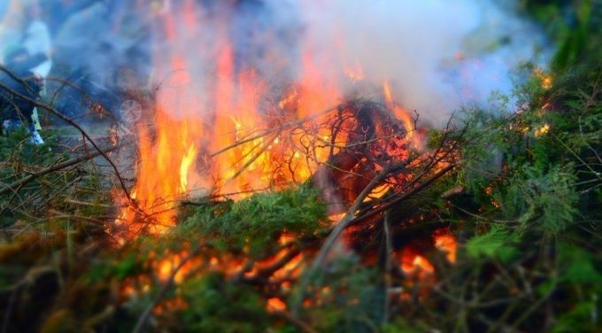 С новой волной пожаров в ЯНАО борется почти 100 человек