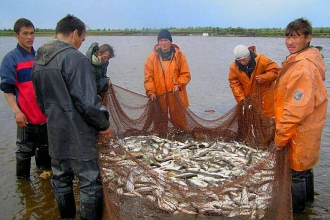 На Ямале квоты на рыбалку оформляют через Госуслуги