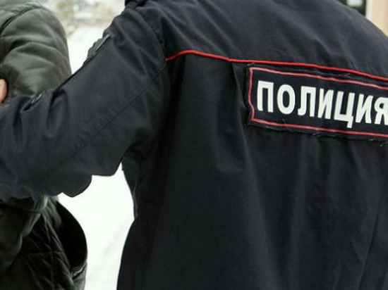 Житель Тарко-Сале отделался условным сроком за нападение на полицейского
