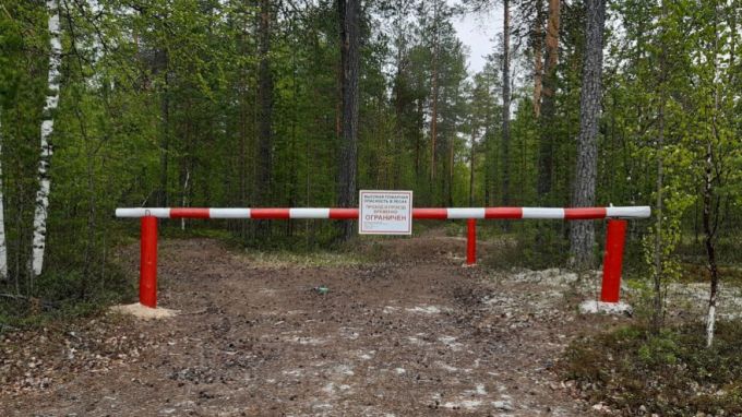 В нескольких муниципалитетах ЯНАО ввели ограничение на пребывание людей в лесах