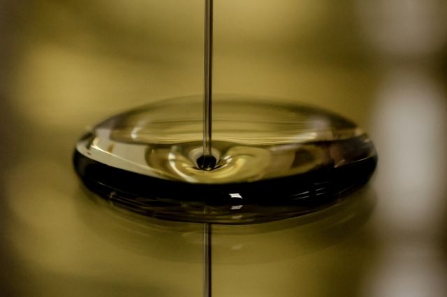 «Зарубежнефть» планирует запустить в 2022 году Луцеяхское месторождение