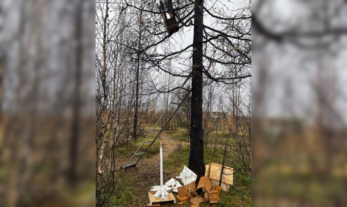 В Новом Уренгое пожаловались на вандалов, разрушающих кормушки для птиц
