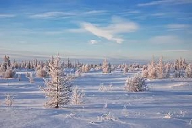 Второе февраля на Ямале будет теплым и снежным