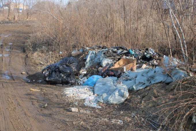 В Тарко-Сале пересчитают все свалки