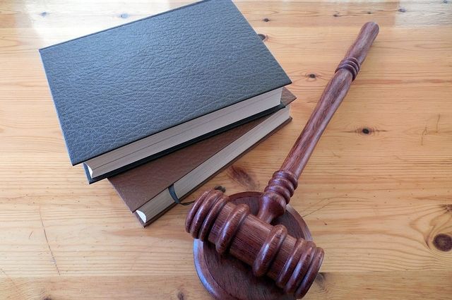 Вынесен приговор браконьерам из Шурышкарского района за убийство лося