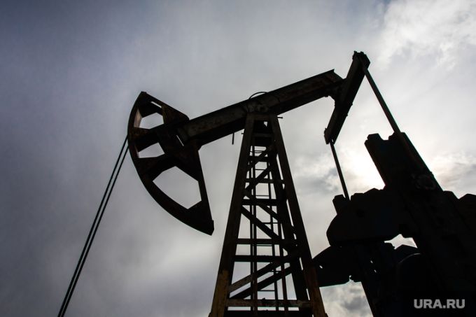В ЯНАО продают нефтегазовые участки за 26 млрд