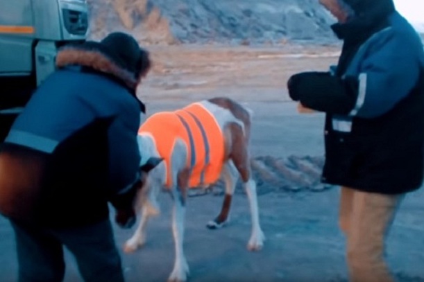 Голосовать на выборах губернатора Тюменской области теперь смогут вахтовики