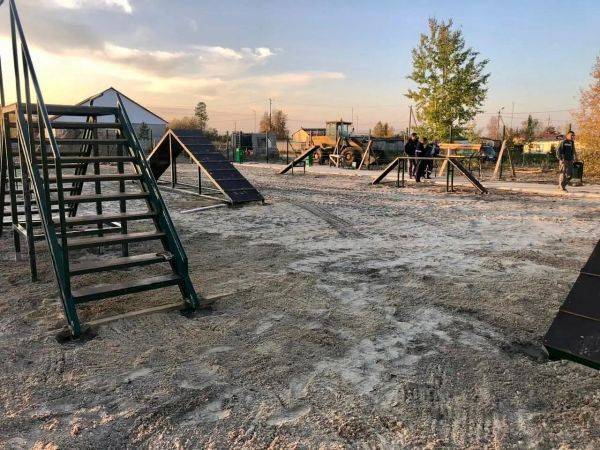 В Ханымее откроют площадку для выгула собак