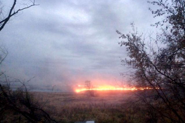 На Ямале в Пуровском районе горит лес