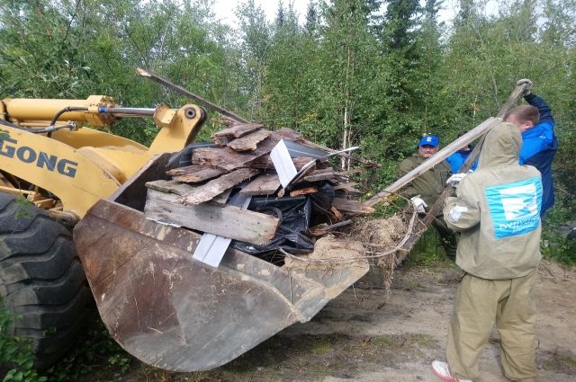 Ямальцев, мусорящих в лесу, поймают в фотоловушки и отправят в прокуратуру