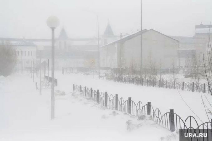 В ЯНАО неделя начнется с порывистого ветра и метелей