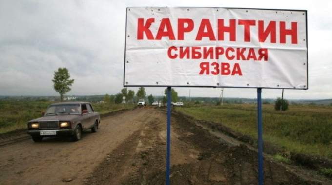 Ямальские следователи засекретили итоги проверки по вспышке сибирской язвы