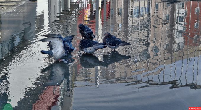 Во вторник в округе потеплеет до +25 градусов