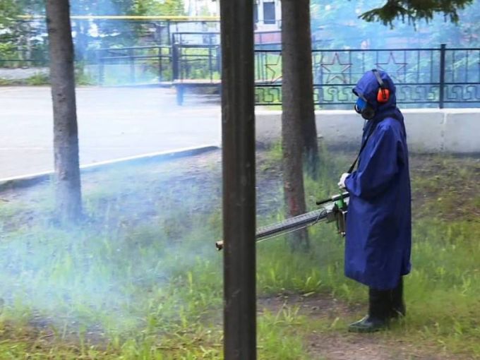 В Тарко-Сале прогулкам не мешают комары