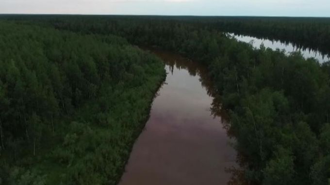 С 2022 года вводится запрет на вывоз из страны необработанных лесоматериалов