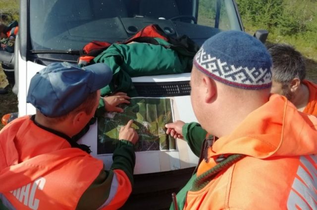В Лабытнанги вновь искали пропавшую в лесу бабушку