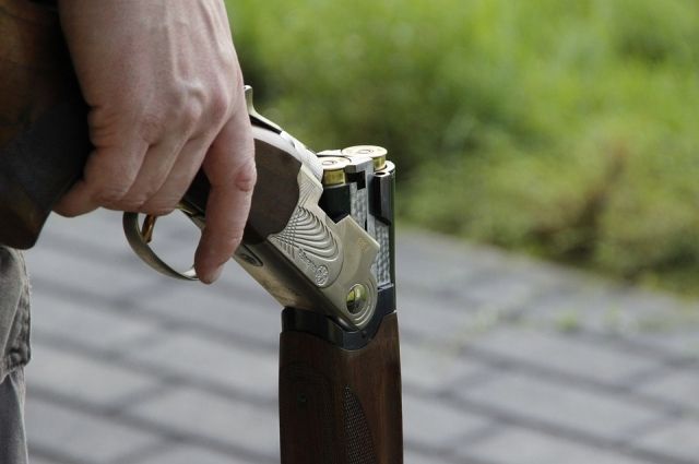 Сайга решила судьбу в споре недалеко от Самбурга