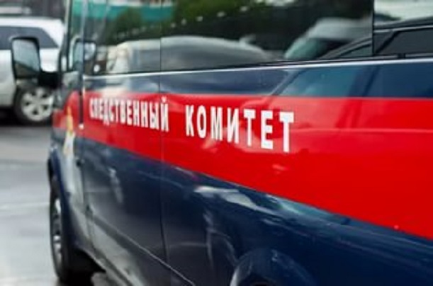 В ямальской тундре дочка оленеводов случайно выстрелила в себя