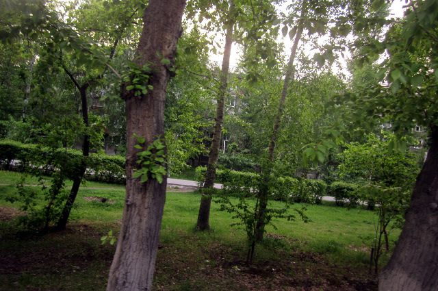 В парке Тарко-Сале неизвестные сломали качели и вырвали цветы