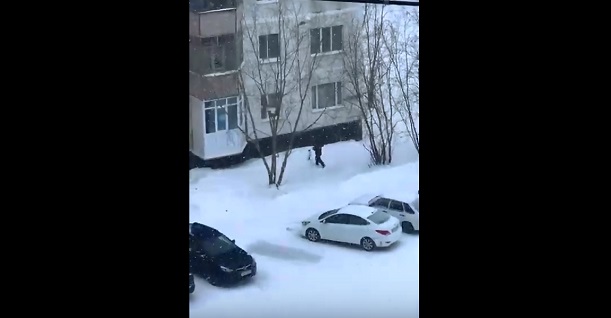Детская жестокость: в Новом Уренгое подросток издевается над собакой