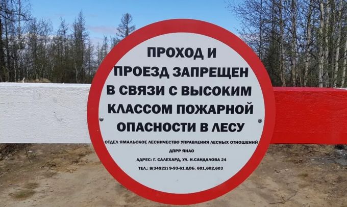 Ходить и ездить в лес пока не нужно