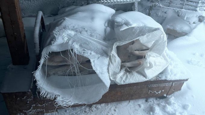 На Ямале поймали трех браконьеров с 4 тоннами нелегального улова