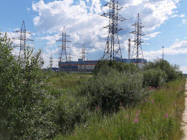 В Ноябрьске в районе парогазовой станции обнаружены останки мужчины