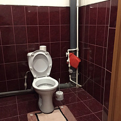 сдам 1 км квартиру